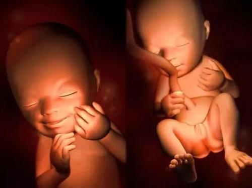 胎儿为什么会经常在妈妈肚子里拳打脚踢,是不舒服还是另有原因?