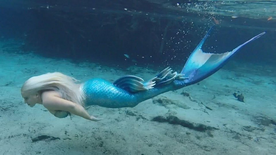 原来美人鱼真的存在过?发现于菲律宾,它的样子非常特别!