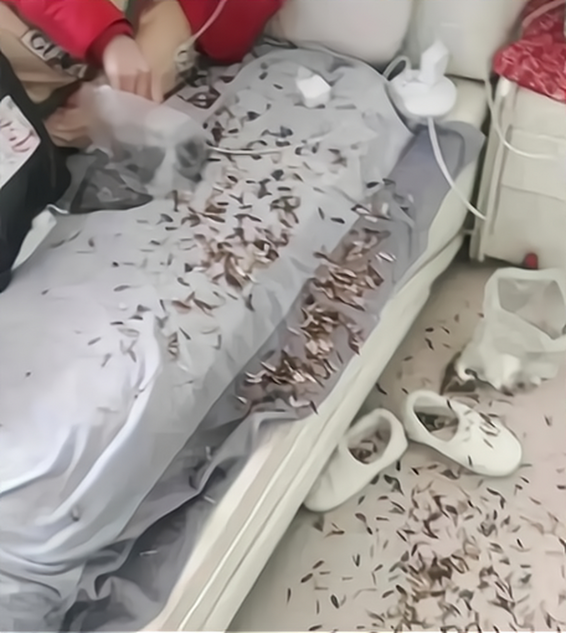 这样的媳妇没有彩礼,请问你愿意娶吗?