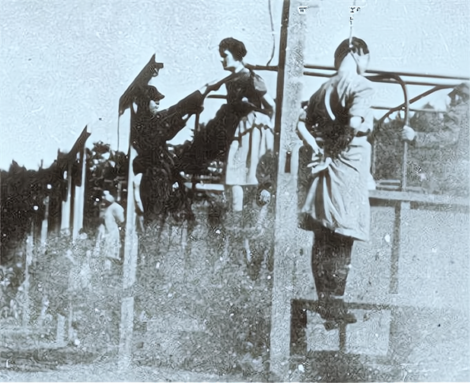 1945年,一名德国女子被绞死的场景令人触目惊心.