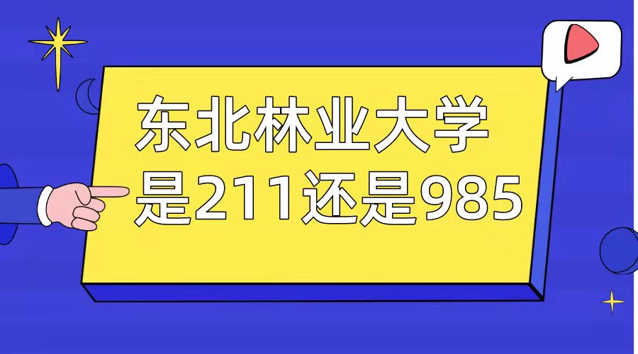 東北林業大學是211還是985?