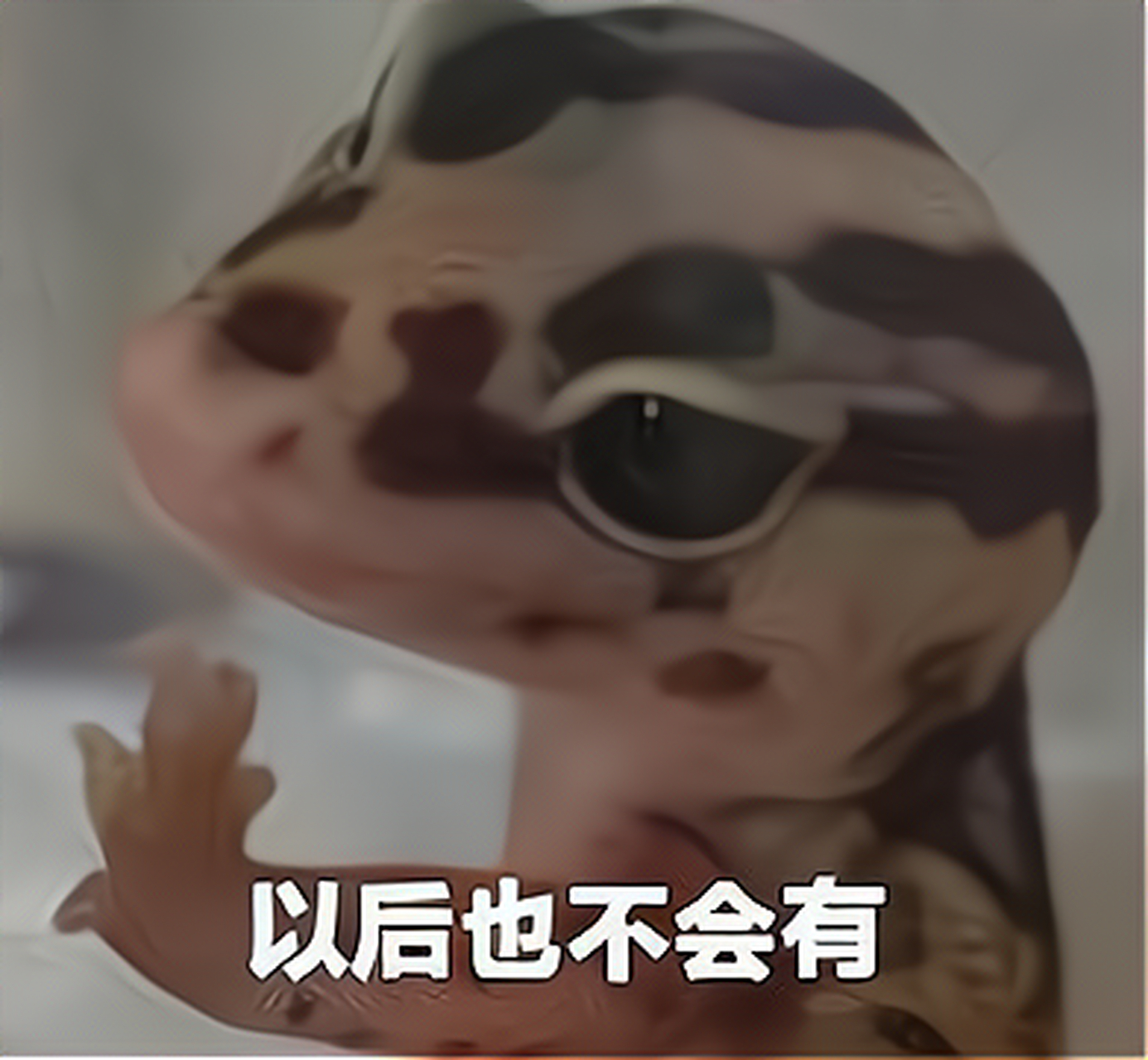没人可以拒绝我龙傲天卖萌!