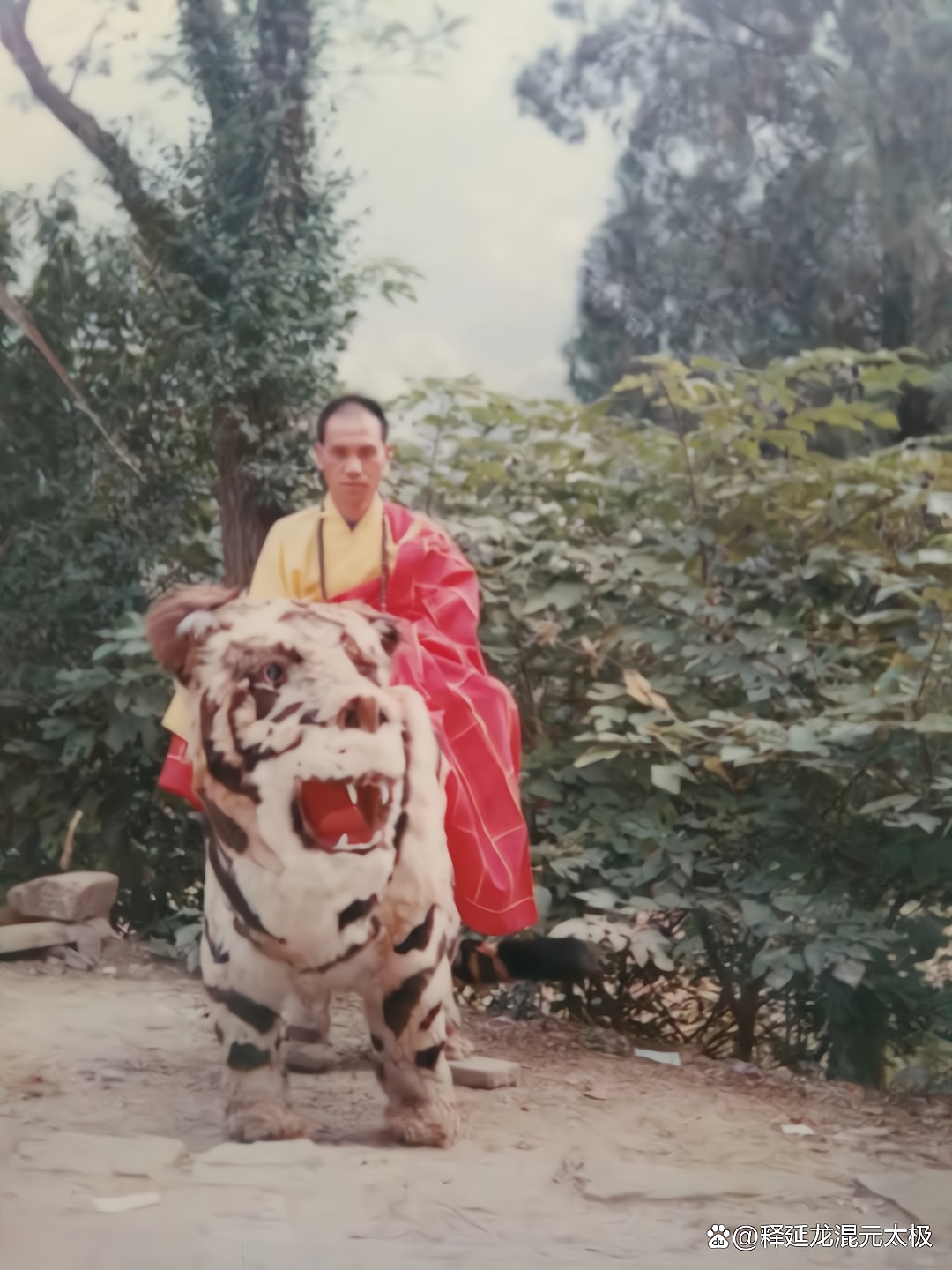 少林寺释延龙图片