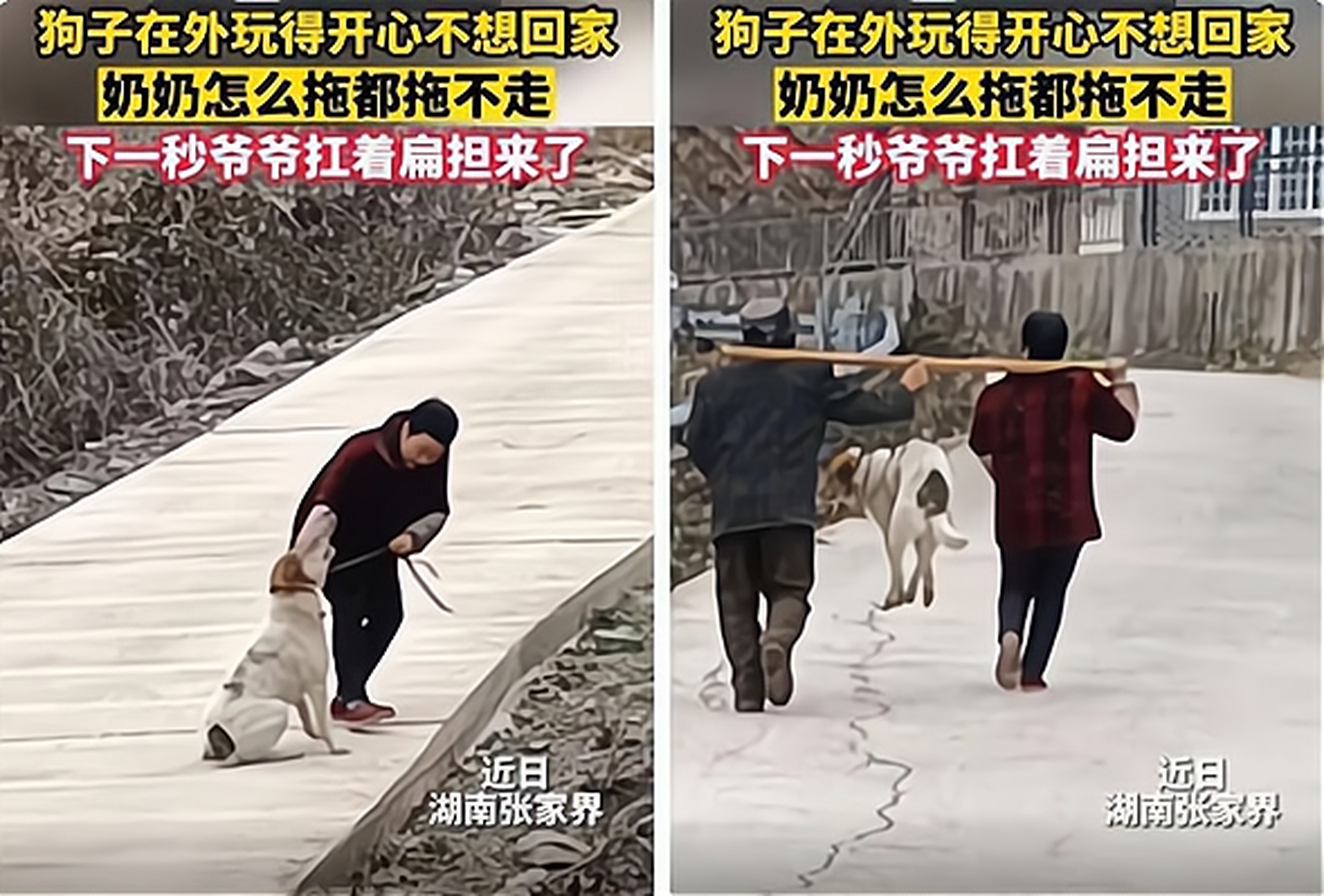 关于怎么给过世的狗超度的信息