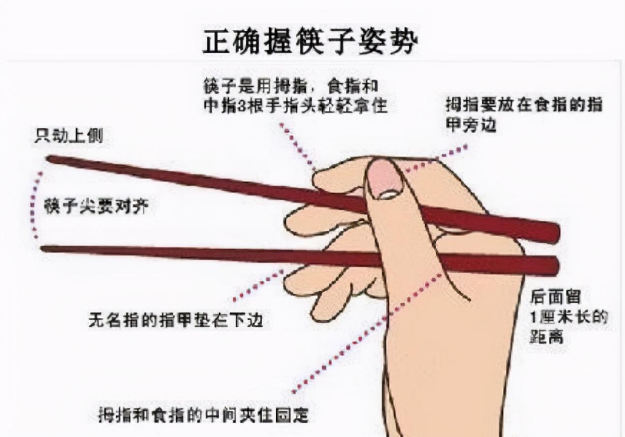 起源时间不确定的筷子,有何不为人知的秘密?连考古学家也很迷惑