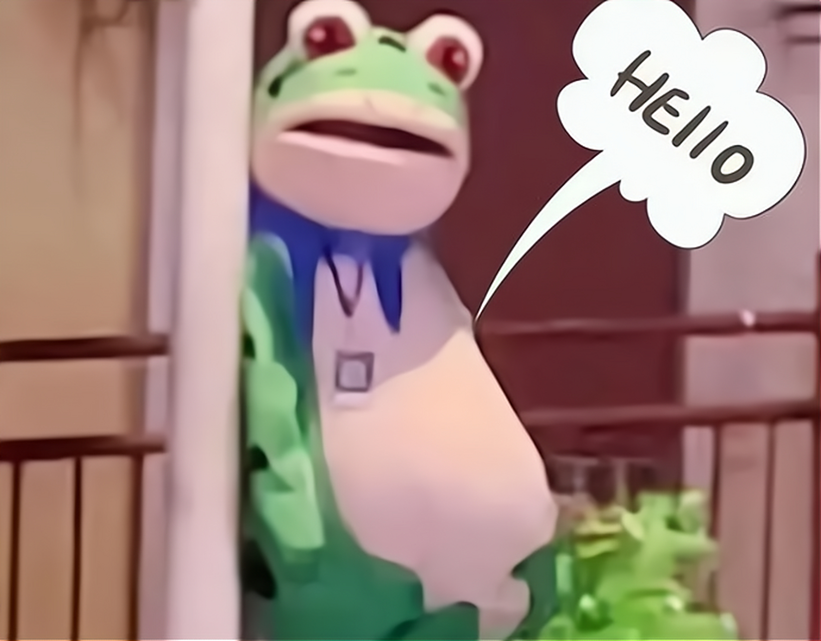 在街头走红的卖崽青蛙遭城管查处,执法是否应该更加人性化?