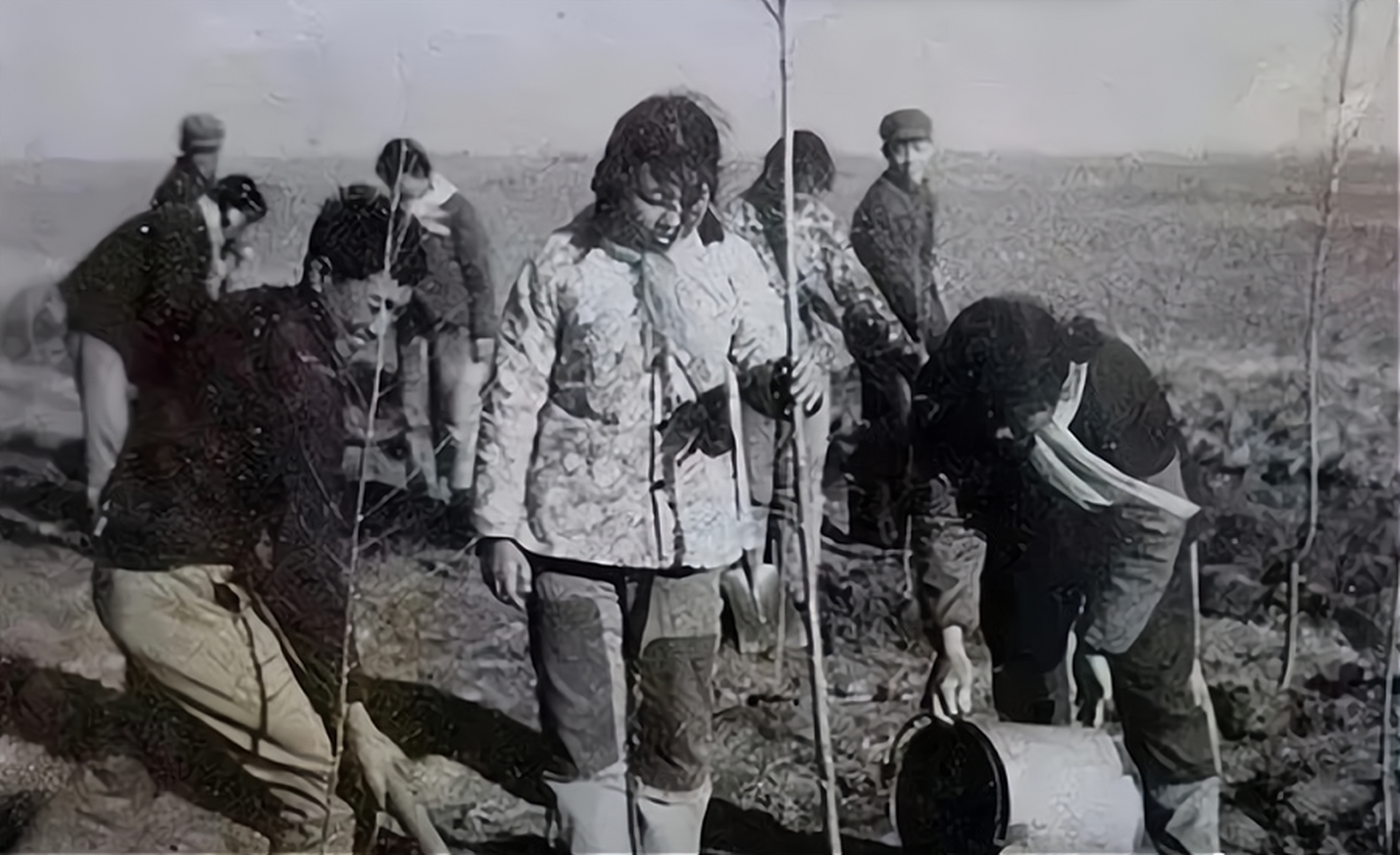 "1995年,下乡知青刘琦在农家炕头上,仰面喝下一瓶农药,很快口吐白沫不