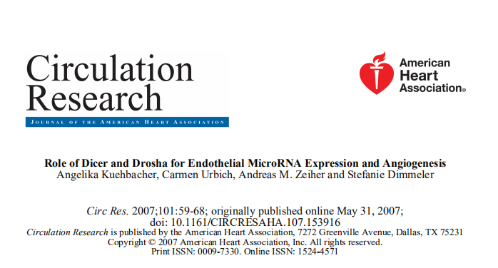 dicer和drosha在内皮细胞microrna表达和血管生成中的作用