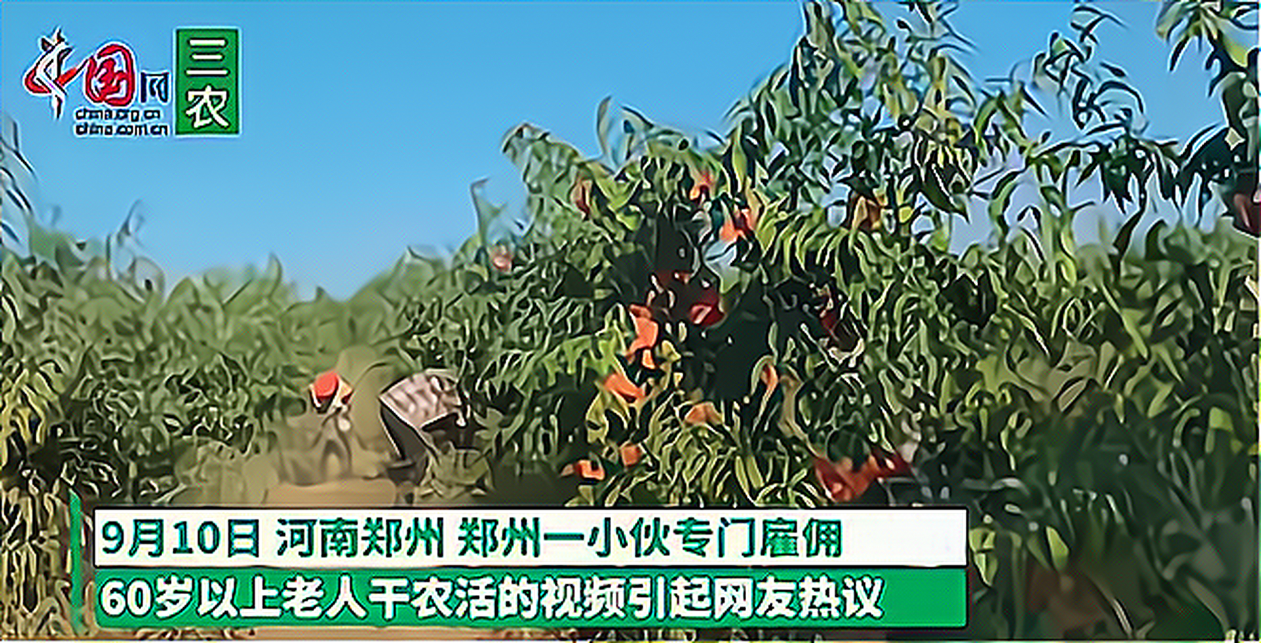 网上挣钱每天80元，网上赚钱一天100收入