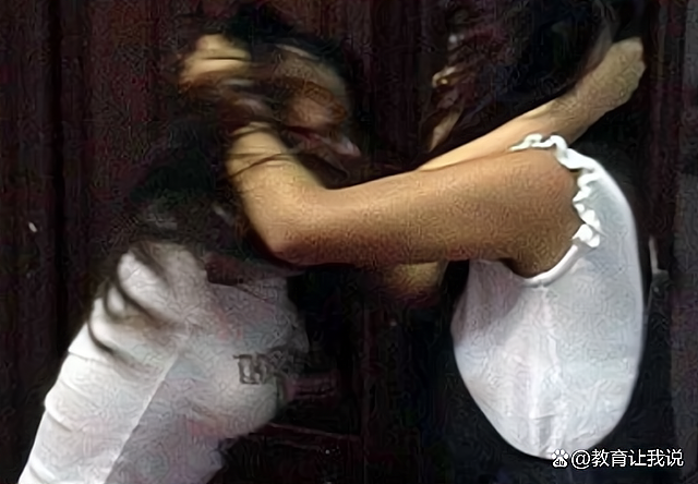 纪实:广东两女子打架撕扯对方胸前衣物,让对方出丑!赔偿500元