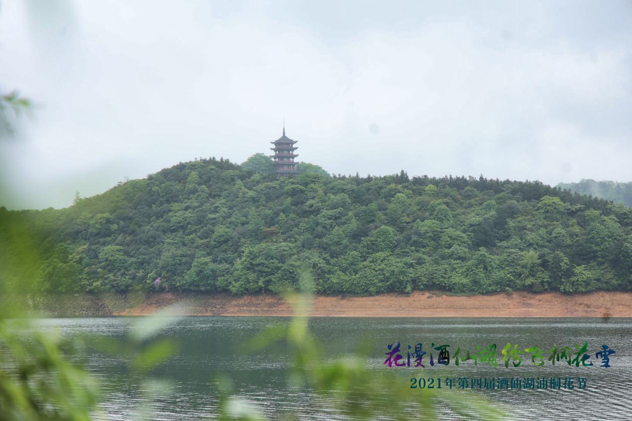 看"五月雪",赏"古风韵",第四届酒仙湖油桐花节盛大启幕