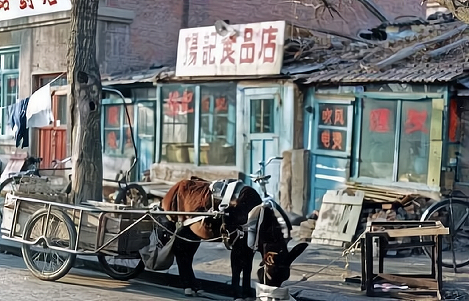 长春稀有老照片图片