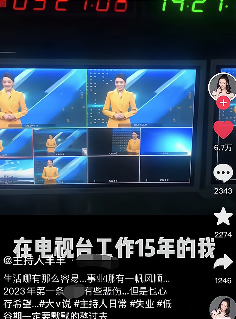 卫视美女主持刘羊漾新年失业!