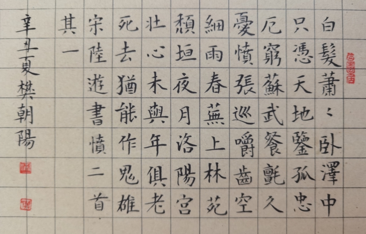 「书写经典」第316期,书写陆游(宋)《书愤二首其一》