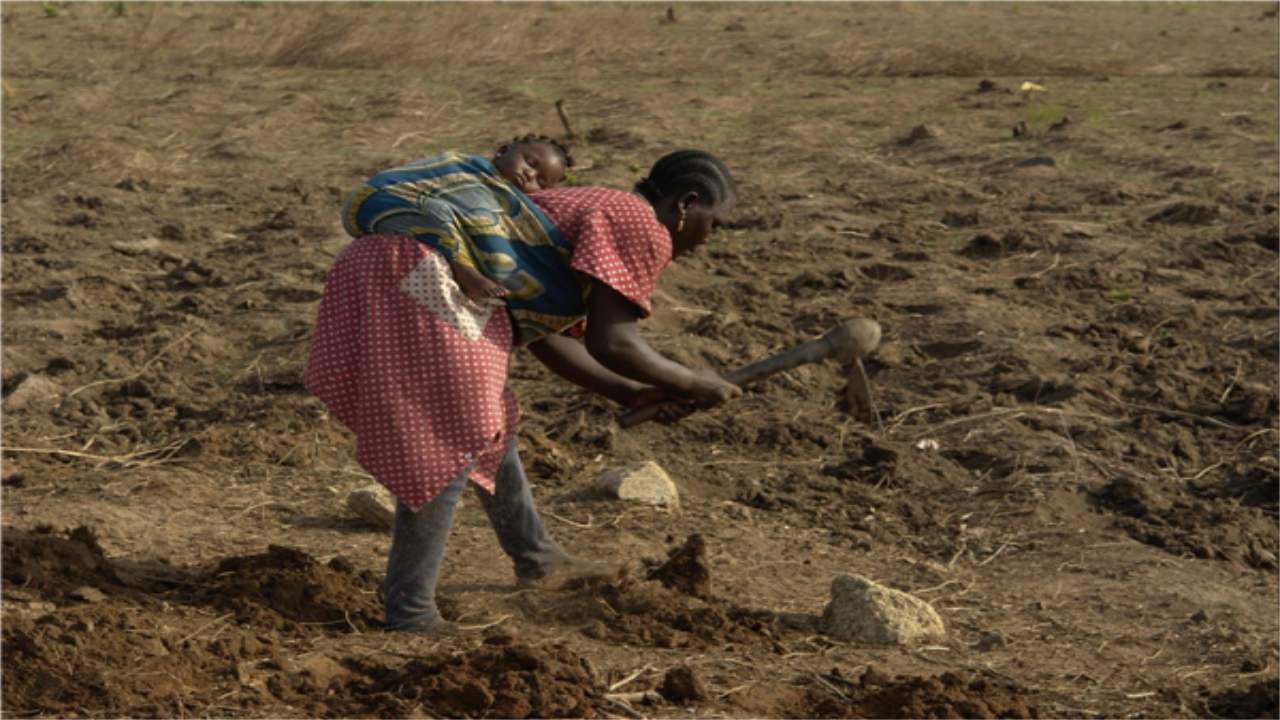 明明非洲的土地资源很多,为什么当地老百姓还会出现饥荒的情况?