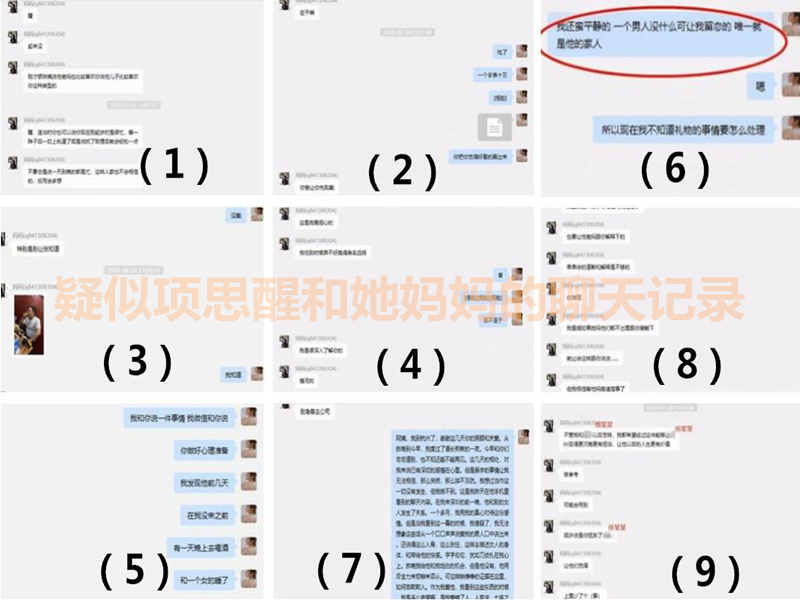 项思醒65页ppt在线阅读图片