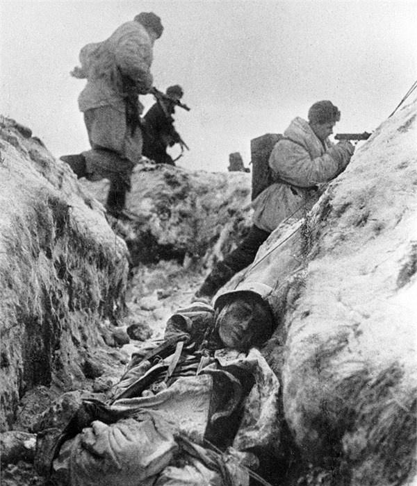 伏尔加格勒战役图片