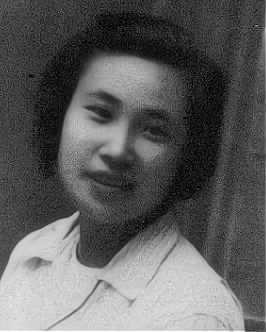 1942年6月底,因被叛徒出卖,刚生完孩子的女战士林心平被儒林镇伪军