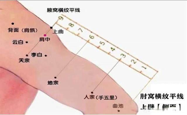 刘红云老师「董氏针灸 刺血」临床治疗百病技术