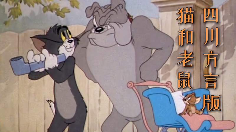 四川方言版猫和老鼠耗子仗到莽哥撑腰当面挑衅汤姆猫