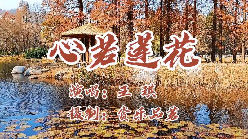王琪深情演唱心若莲花我是红尘中的那朵莲