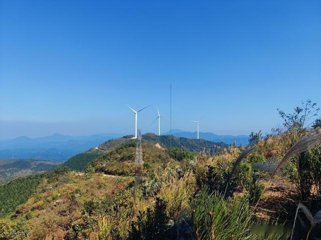 株洲凤凰山森林公园图片