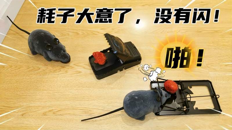 “啪”得一下很快啊!耗子大意了没有闪!【4K超清】,生活,生活技巧,好看视频