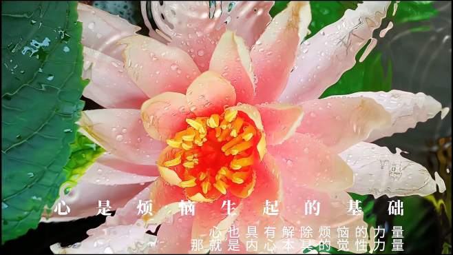 内心本具的觉醒力量