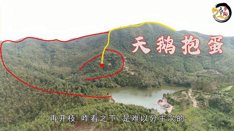 寻龙天下大伟与好友到深山发现留题地天鹅抱蛋
