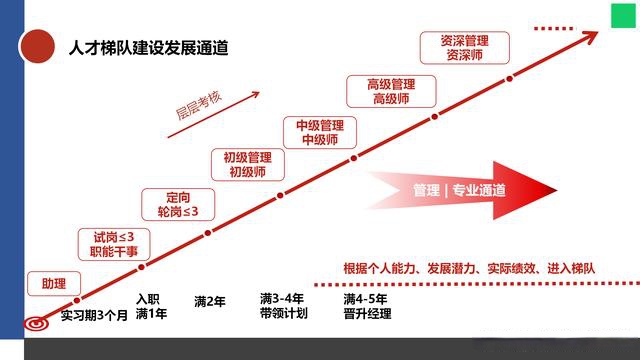 人才梯队建设实施路径解析