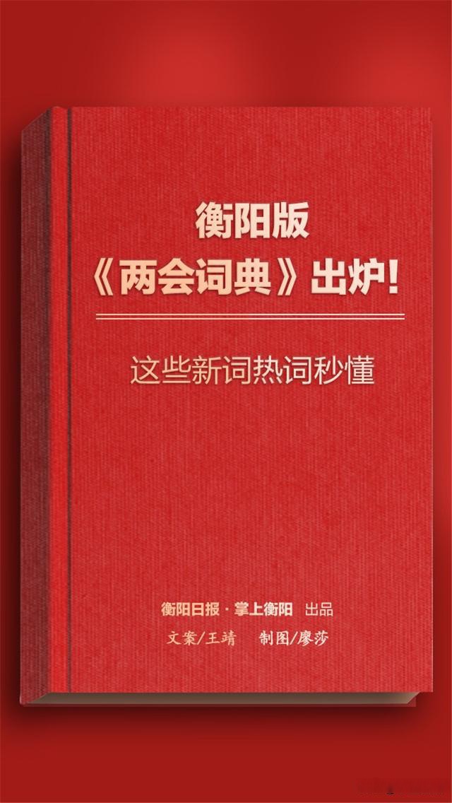 新词热词秒懂!衡阳版《两会词典》出炉