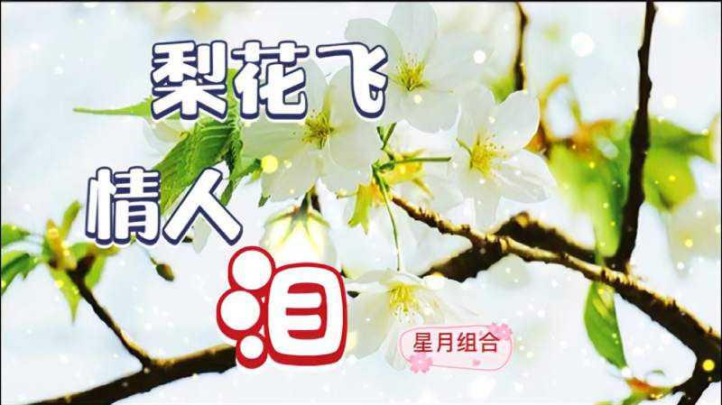 为爱流下相思泪这首梨花飞情人泪情意绵绵动听醉人心扉