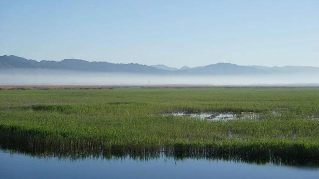 土左旗北海流湿地图片