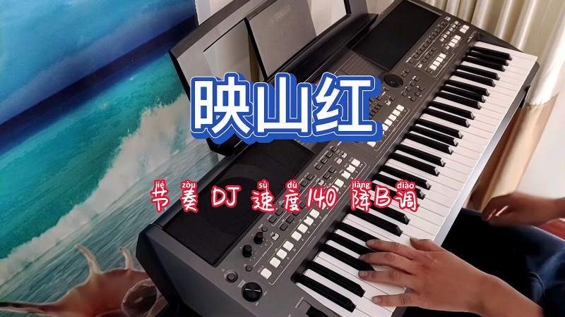 电子琴演奏经典歌曲映山红dj版