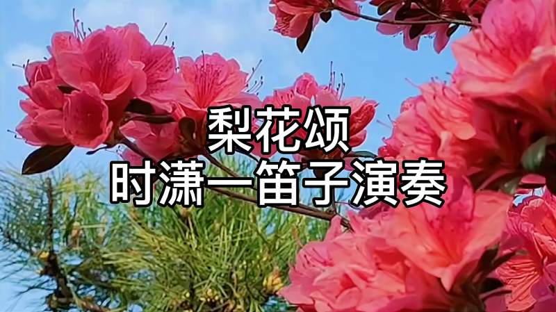 笛子演奏:梨花颂,音乐,器乐,好看视频