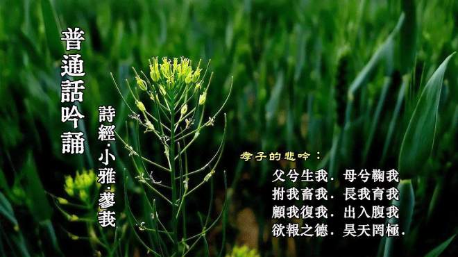 [图]普通话吟诵《诗经·小雅·蓼莪》（重新整理），孝子的悲吟