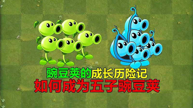 pvz沙雕配音豌豆荚的成长历险记之如何成为五子豌豆荚