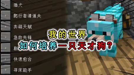 Minecraft 我的世界 1 14 1 15 地毯复制机无限刷地毯机 任意方向 任意位置 都能100 成功复制 好看视频