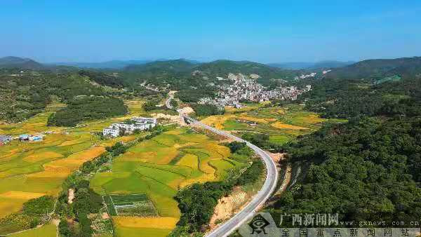 灵山县沙坪镇图片