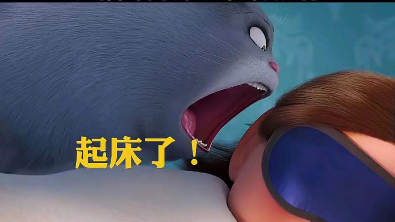 大猫咪叫你起床了,搞笑,萌宠,好看视频
