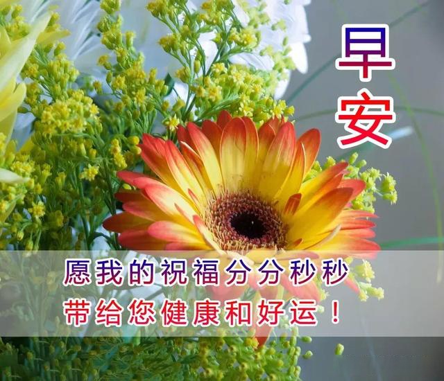 11月15日最美早上好問候圖片,新的一週早安心語正能量