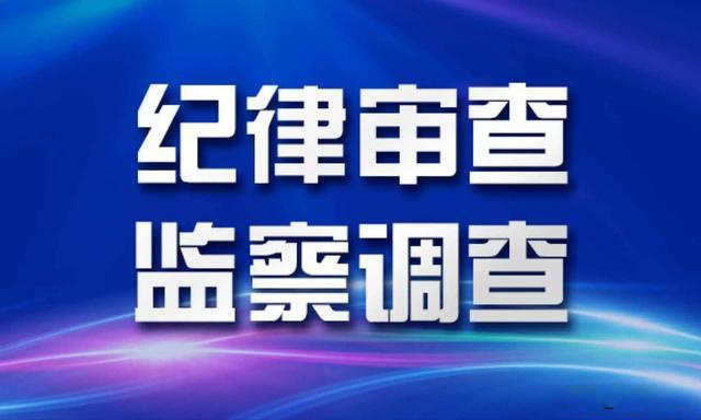 清远市清城区龙塘镇原党委副书记,镇长林建文接受纪律审查和监察调查