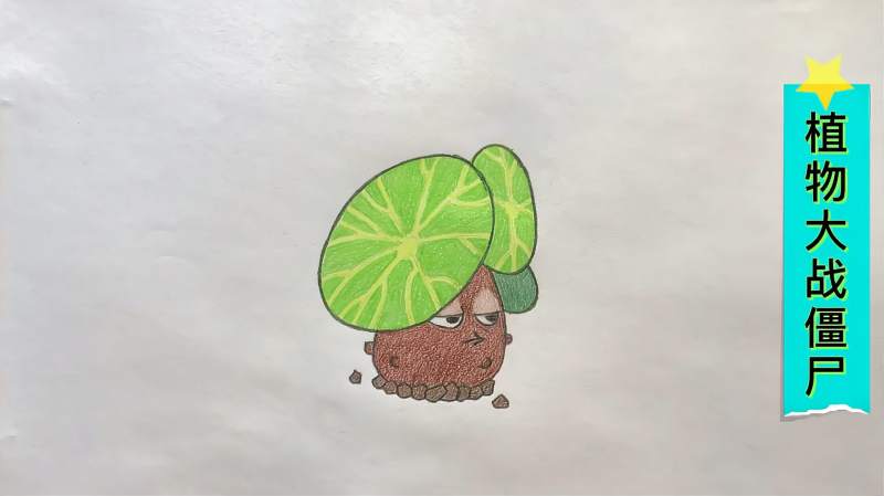 彩铅画植物大战僵尸之千金藤