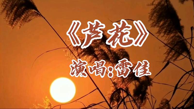 请欣赏著名歌唱家雷佳演唱的歌曲芦花