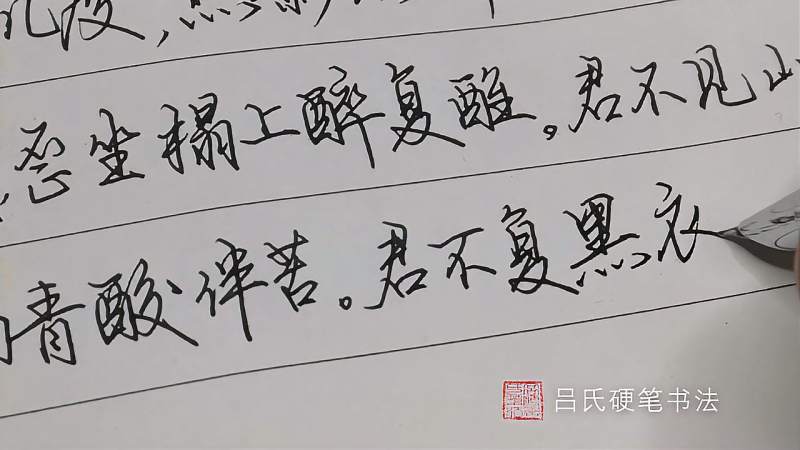 硬笔书法欣赏君不见陌上花开落几度燕影疏斜去又还