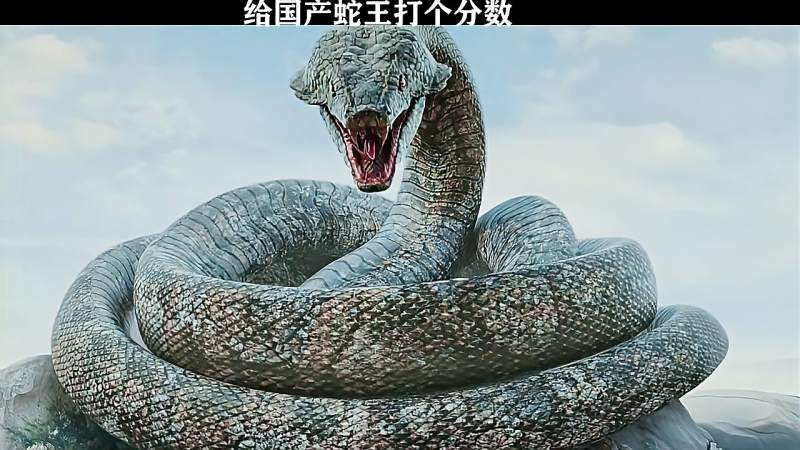国产电影中的那些大蟒蛇你能给几分