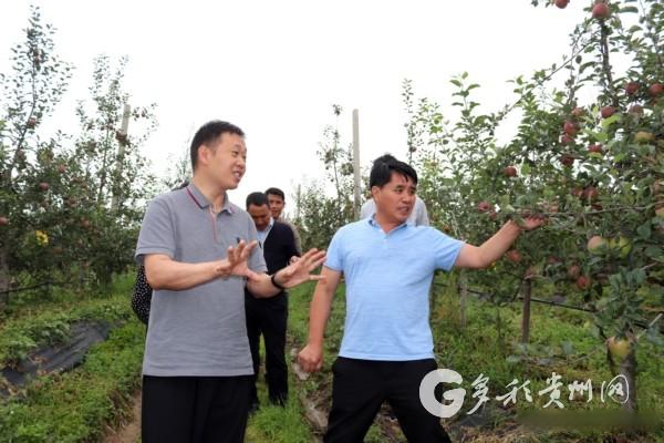 毕节市科技局党组书记何旭率队赴威宁调研苹果和葡萄产业