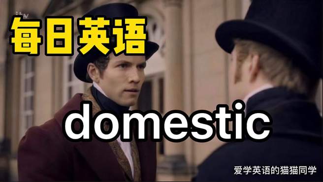 [图]每日英语，domestic，坐飞机的伙伴一定要认识它