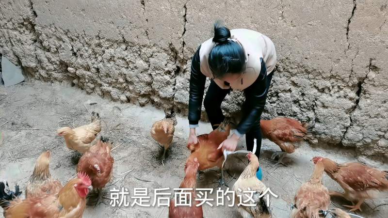 农村小妹杀鸡干净利落，一点都不像第一次杀，一只鸡几分钟就搞定,三农,农村赶海,好看视频