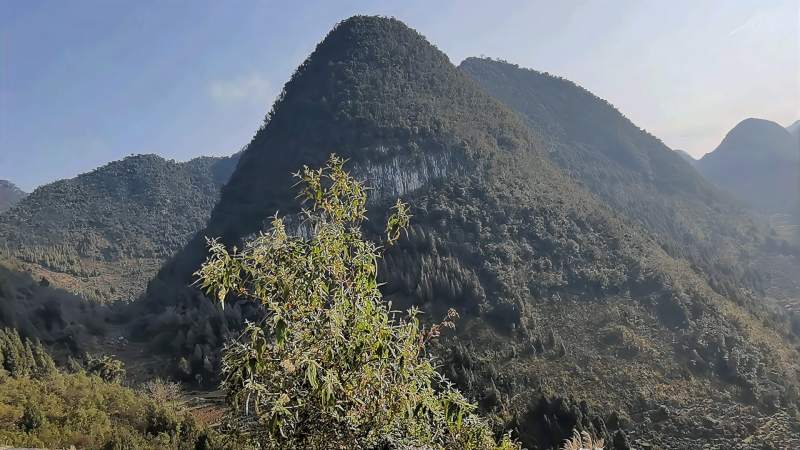 实拍贵州省兴义市郑屯镇岩峰村峰岩丫口(韦元龙 摄,旅游,旅途风光